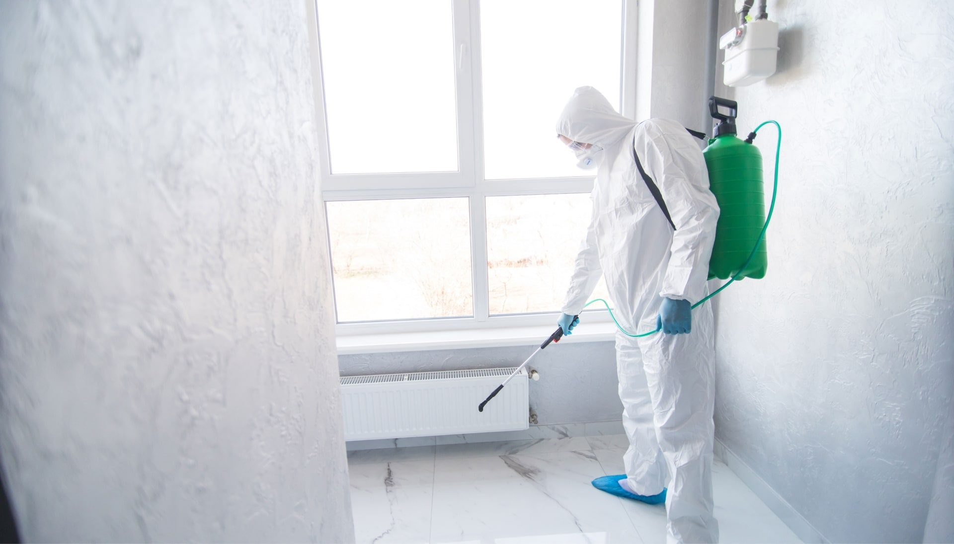 Mold Inspection Services in Sun City Center